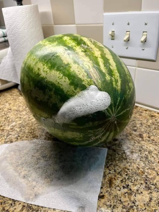 water melons purchased costco explode water melons purchased costco explode new